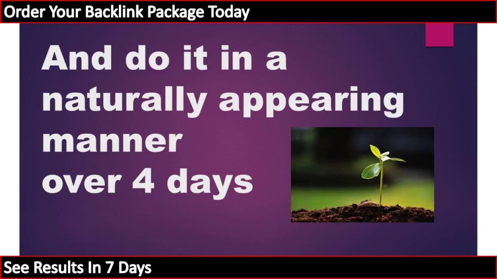 600 SEO Backlinks  | Backlink Building Service On High Authority Sites | Improve Rankings