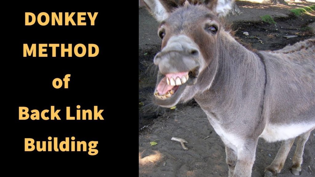 Link Building: High Authority backlink  Building strategy ( DONKEY METHOD)