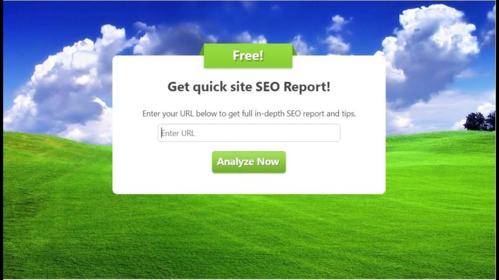 SEO Newton | Best SEO Advertising Agency In Newton MA