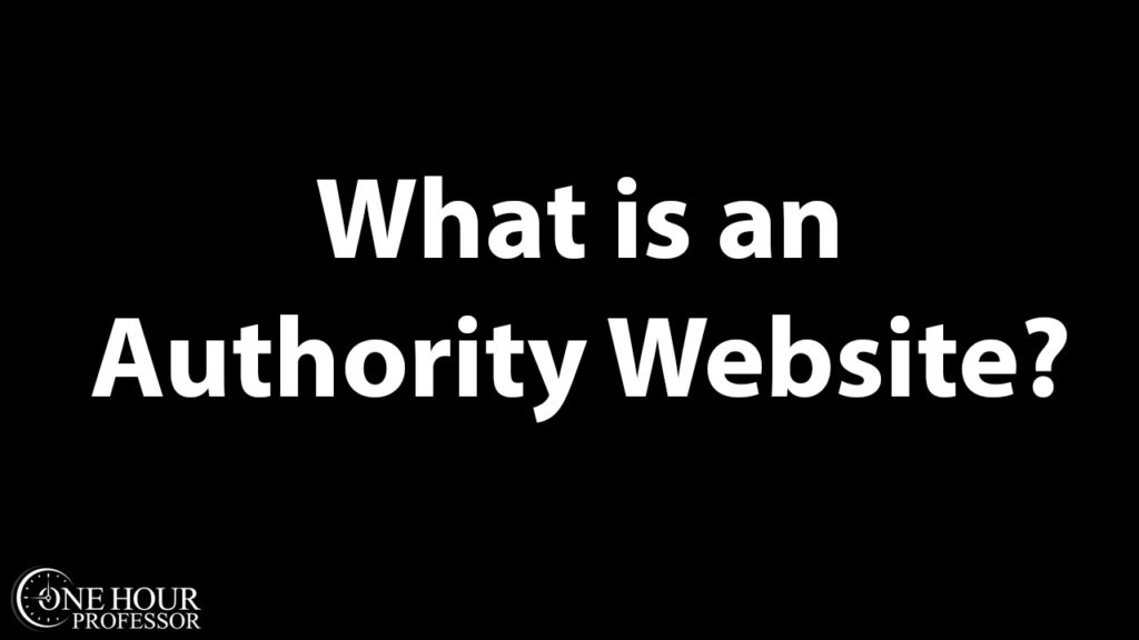 What is an authority website?