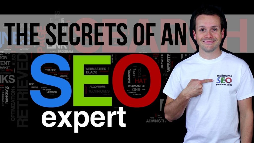 Want To Learn The Secrets Of An SEO Expert?