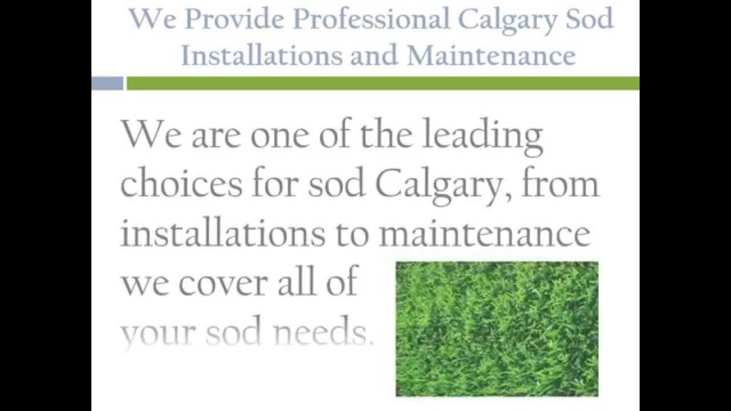 Calgary Sod Installation and Maintenance Services
