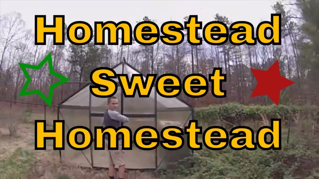 Homestead Sweet Homestead: Inspection Day, Property Overview