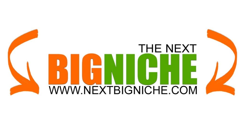How To Find PBN's Private Blog Networks, Domain Authority, Page Authority
