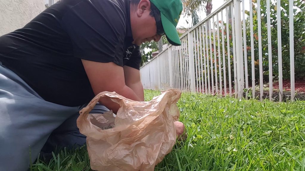How to resod a damaged lawn without buying new sod