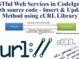 RESTful Web Services in CodeIgniter with source code - Insert and Update Operation with cURL Library
