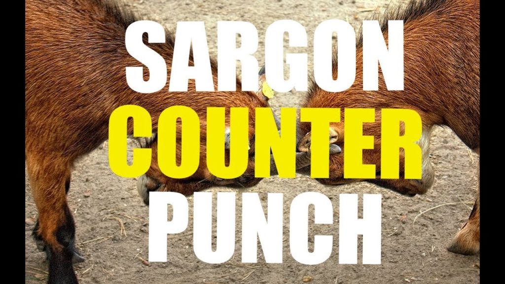 SARGON Counter Punches and Akilah's Attorneys Don't Like It.