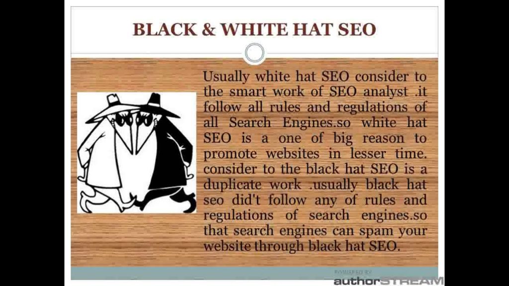 Seo services in india ,search engine optimization