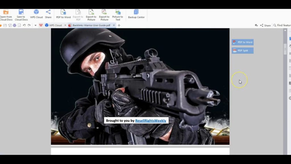 Backlinks Warrior Software - The Wholesale PLR Store Preview