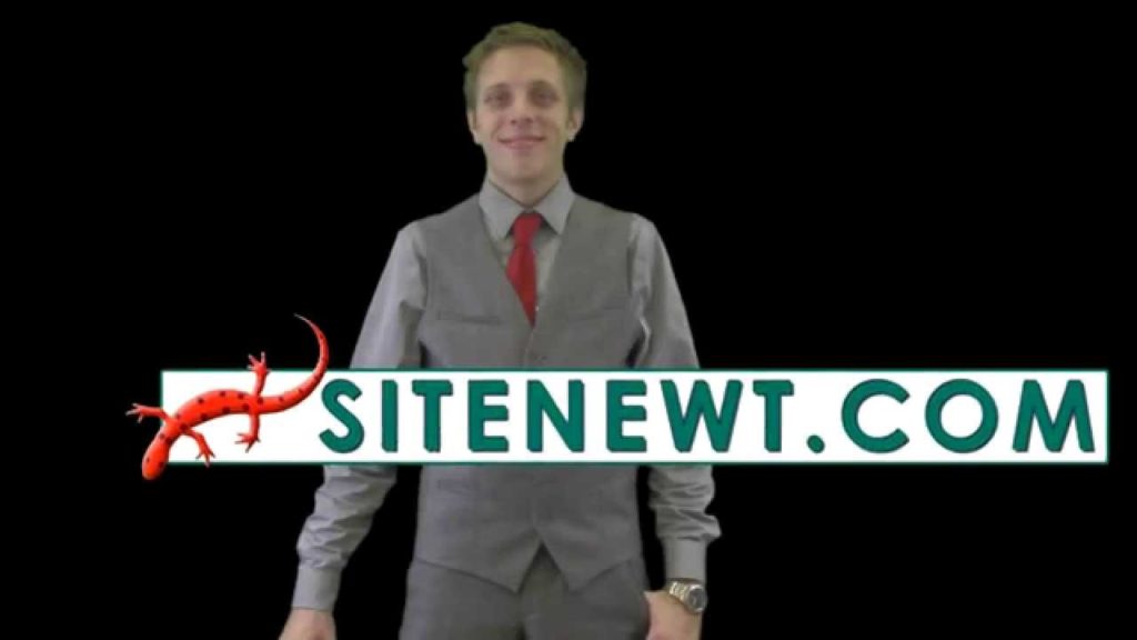 SiteNewt.com - SEO and Website Gurus
