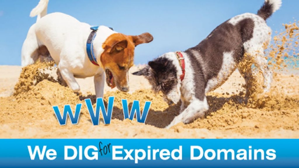 Expired Domain Harvester Tool