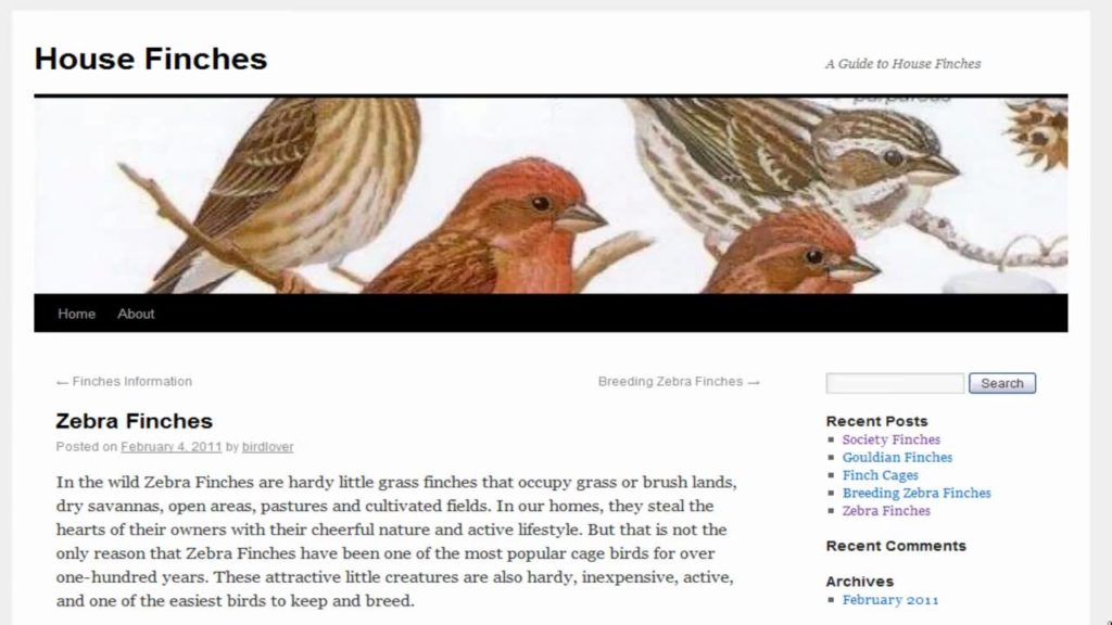 SocialMonkee Review for FREE Backlinks