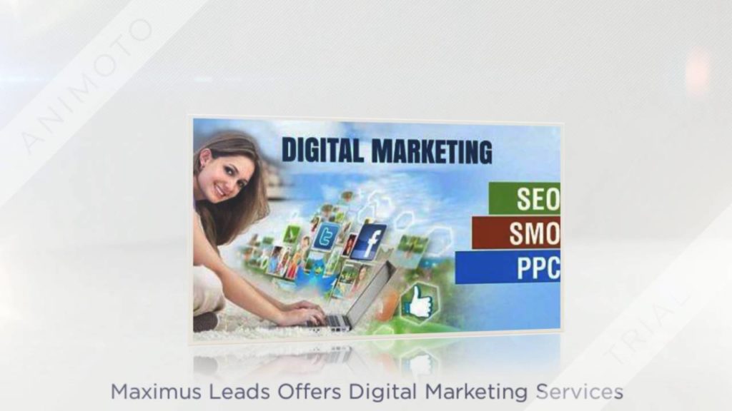 SEO Services in Pune | Digital Marketing Company | Maximus Leads