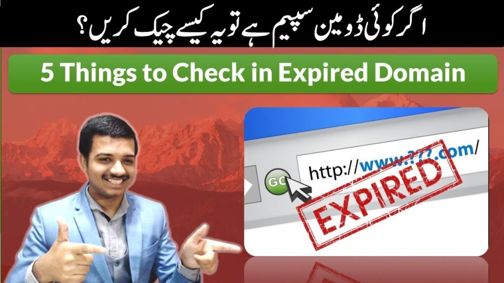 5 Things you must check before Buying an Expired Domain | SEO Urdu/Hindi 2020