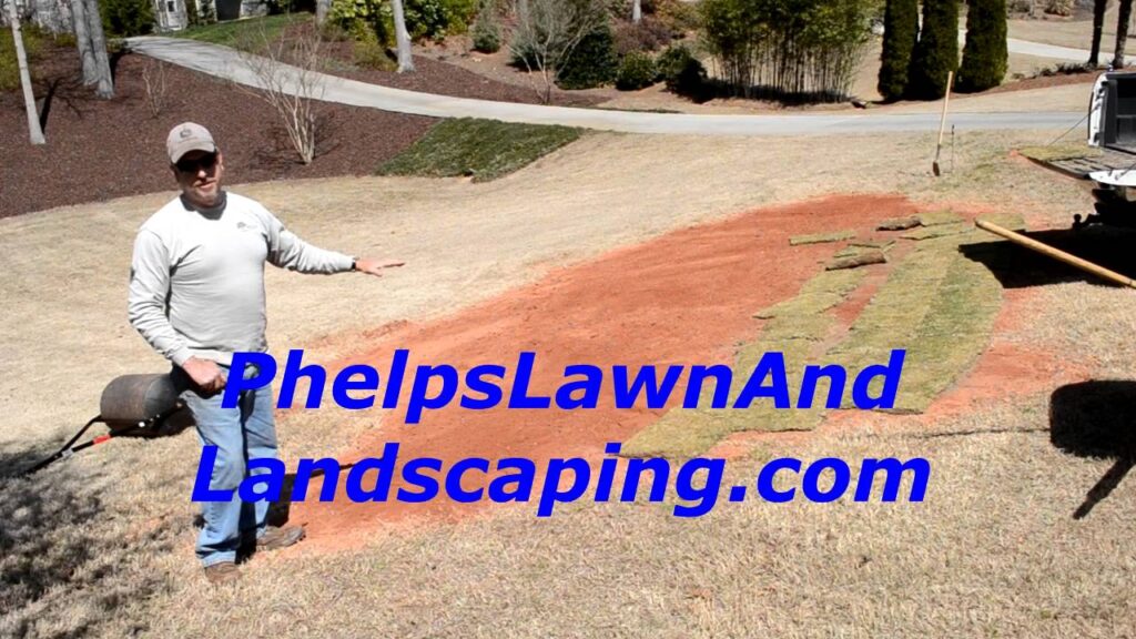 Sod installation:Landscaping Services & Turf Talk, Bermuda Grass In Gainesville GA
