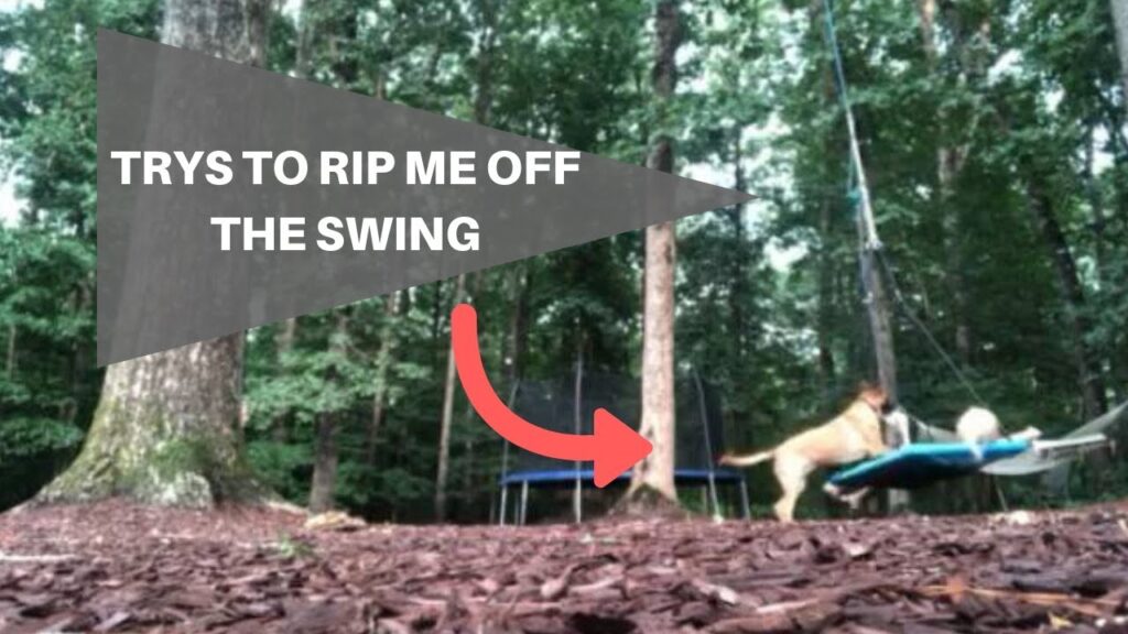 Service Dog HATES when I go on a swing! **HILARIOUS**