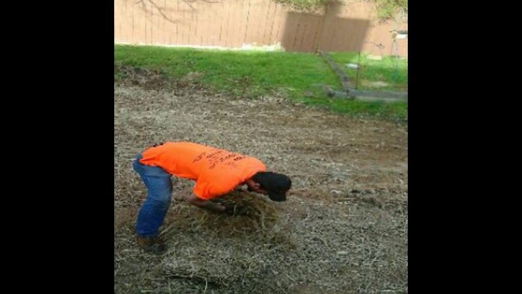 Sod Work by Unique Tree Beaver Services,LLC