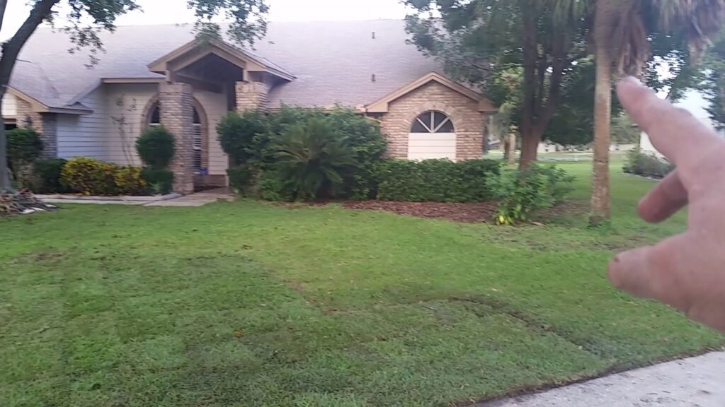 sod service in lake mary - sod removal - laying sod - sod service process