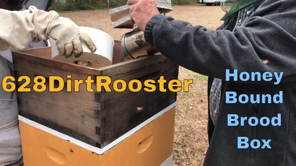 Beekeeping With Blurry Face and The Old Man  -  Spring Hive Box Inspections