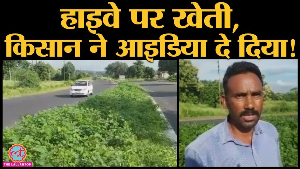 Madhya Pradesh: Betul-Bhopal National Highway पर  farmer ने crop उगा दी | NHAI