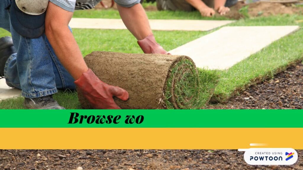 Sod Prep/Sod laying Services