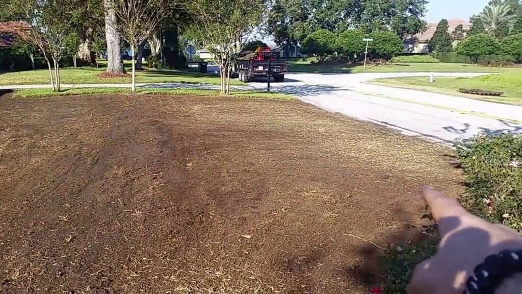 sod removal service in orlando - sod removal process, how to remove grass