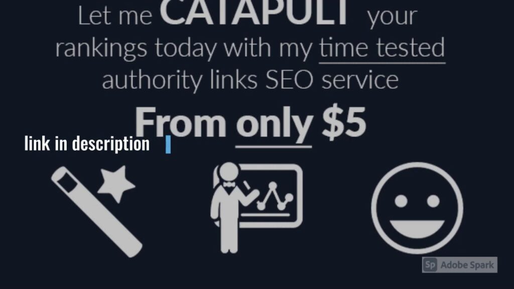 I will catapult your google rankings with my seo authority links