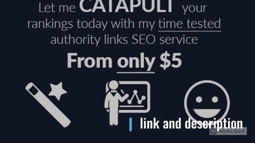 I will catapult your google rankings with my seo authority links