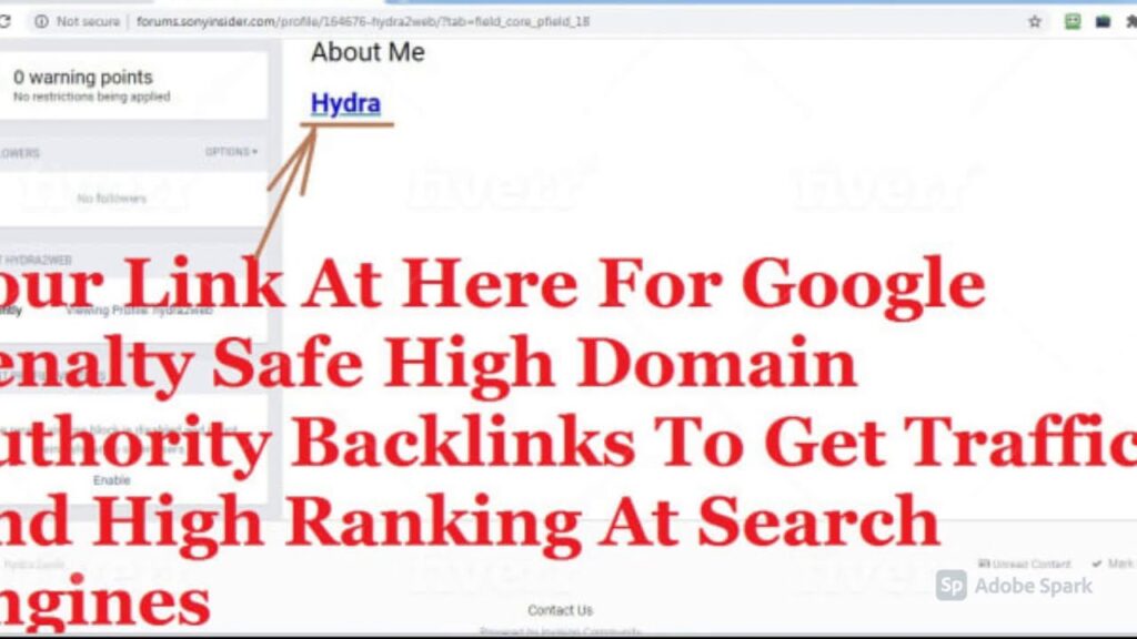 I will boost website rankings with high authority backlinks
