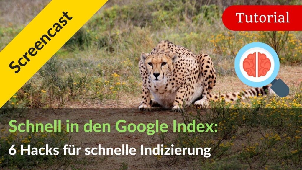 Google Indexierung beschleunigen: 6 Hacks für deine Webseite & Backlinks