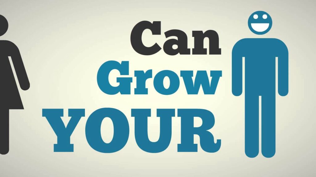 SEO Packages - SEO Packages For Small Businesses