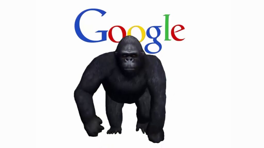 Seo Services Abilene, Texas
