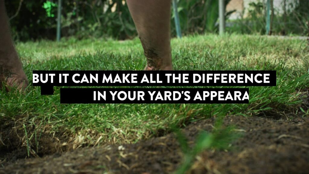 Sod Installation Services for Los Angeles Homeowners