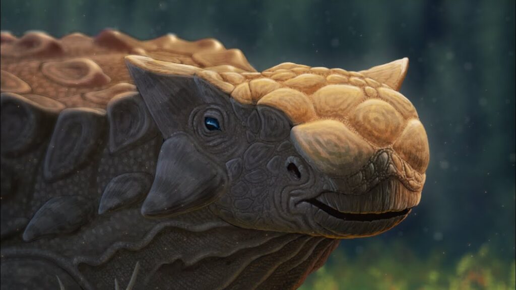 Ankylosaurus - Ancient  Animal