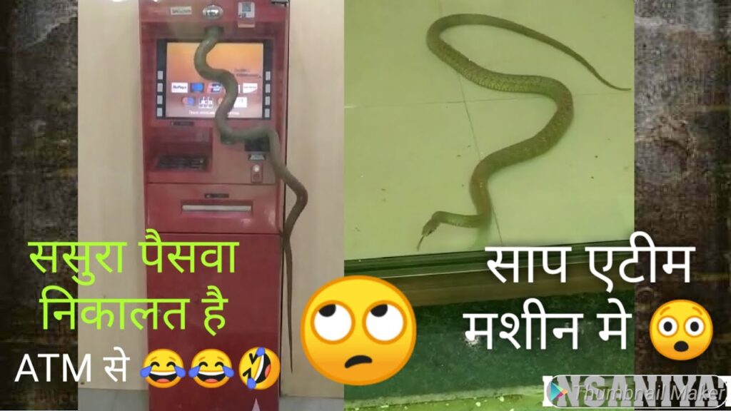 Sap ATM Machine Me Ghus Gaya, Snake entered in to ATM machine, SNAKE IN ATM CHAMBER