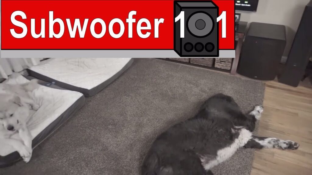 What You "LOSE" With High Quality Subwoofers