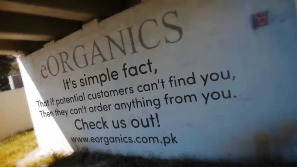 eOrganics | Social Media Marketing and SEO Company Islamabad Pakistan