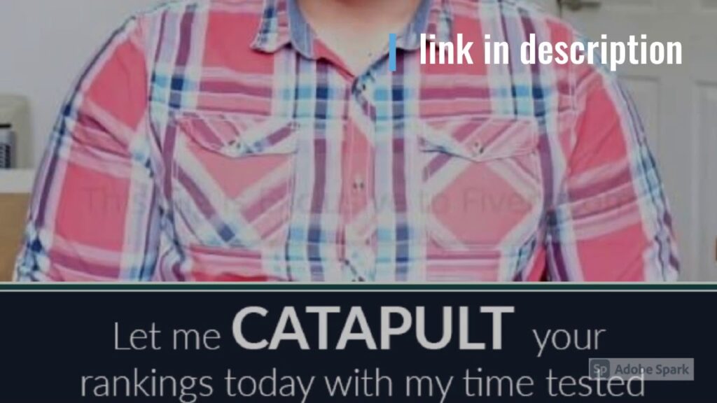 I will catapult your google rankings with my seo authority links