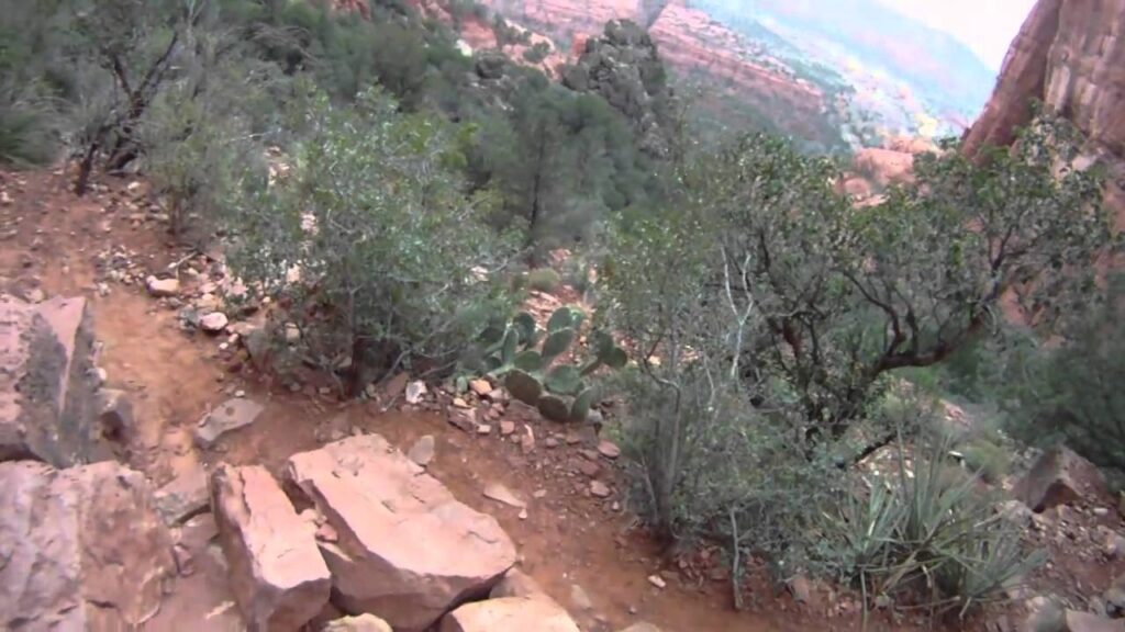 Cathedral Rock Sedona
