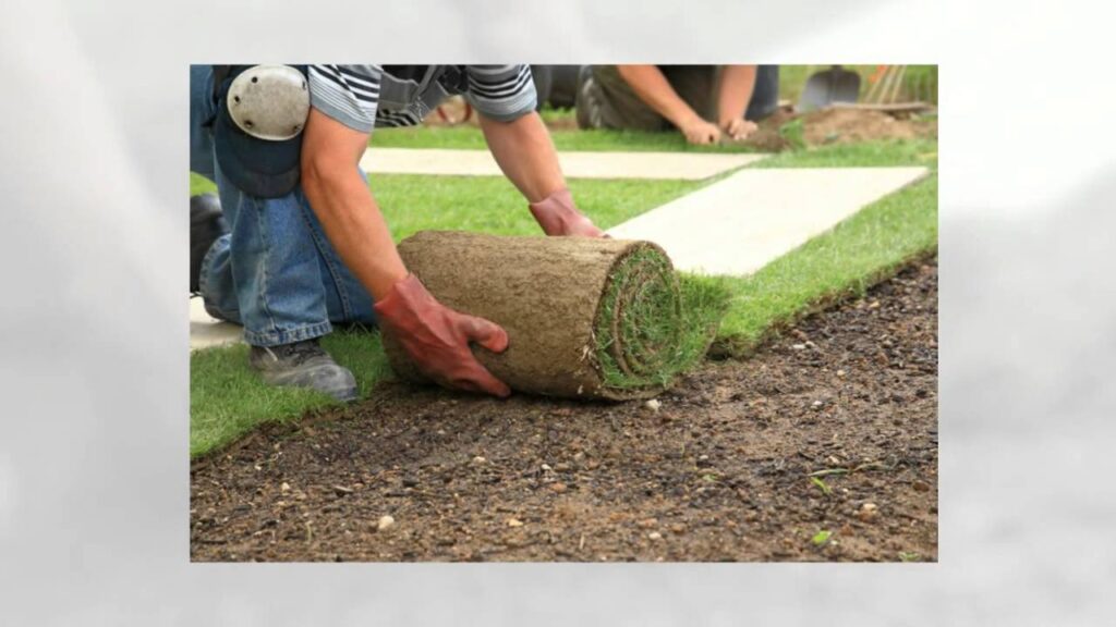 Scottsdale, AZ Sod Installation - Advantages of Installing a Sod Lawn