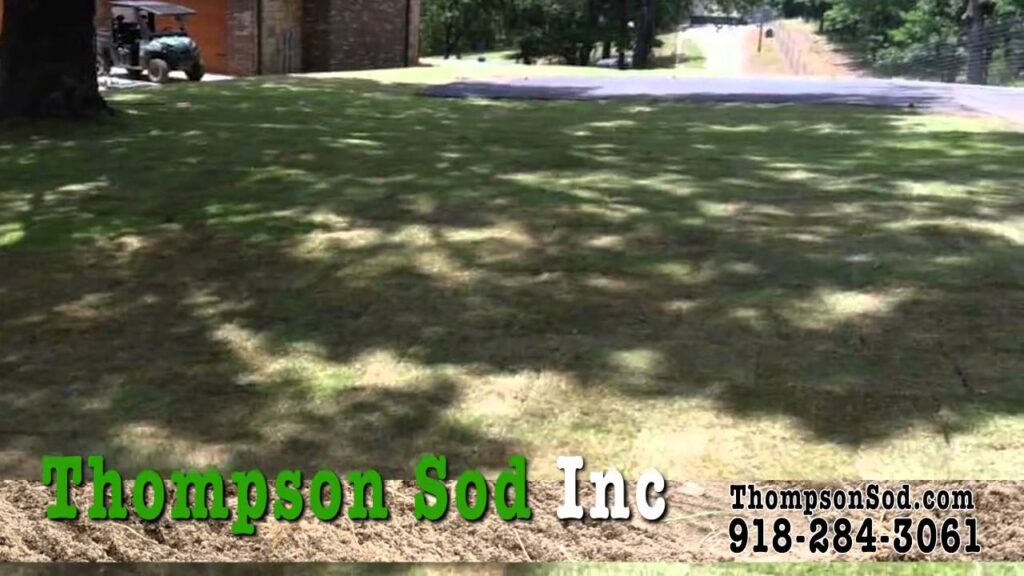 Thompson Sod | Sod Installation, Dirt/Seed Work & Small Yard Renovation Services in Tulsa, OK