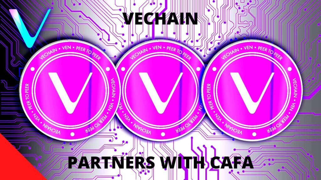 [VECHAIN NEWS] VECHAIN EXPLODES AFTER PARTNERING WITH CHINA ANIMAL HEALTH AND FOOD SAFETY ALLIANCE