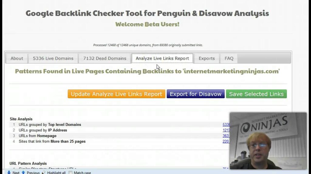 Google Backlink Checker Tool for Penguin & Disavow Analysis