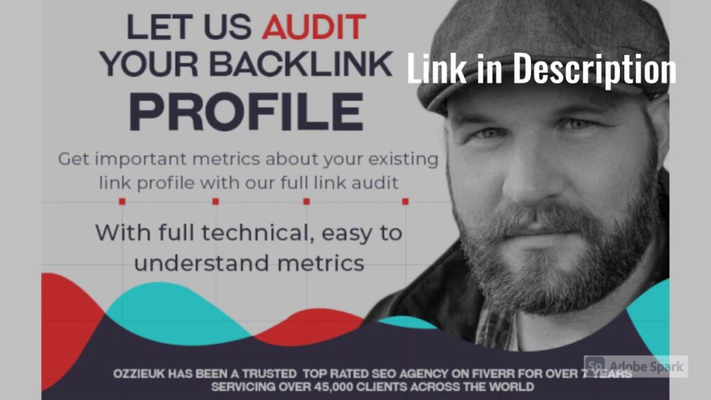 I will give you a full backlink report for any website