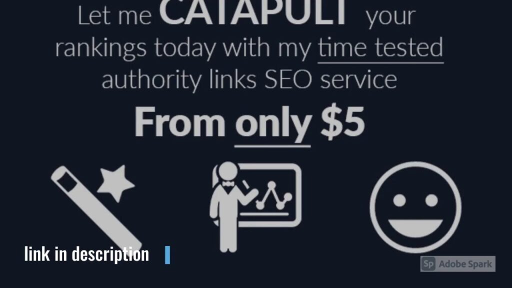 I will catapult your google rankings with my seo authority links