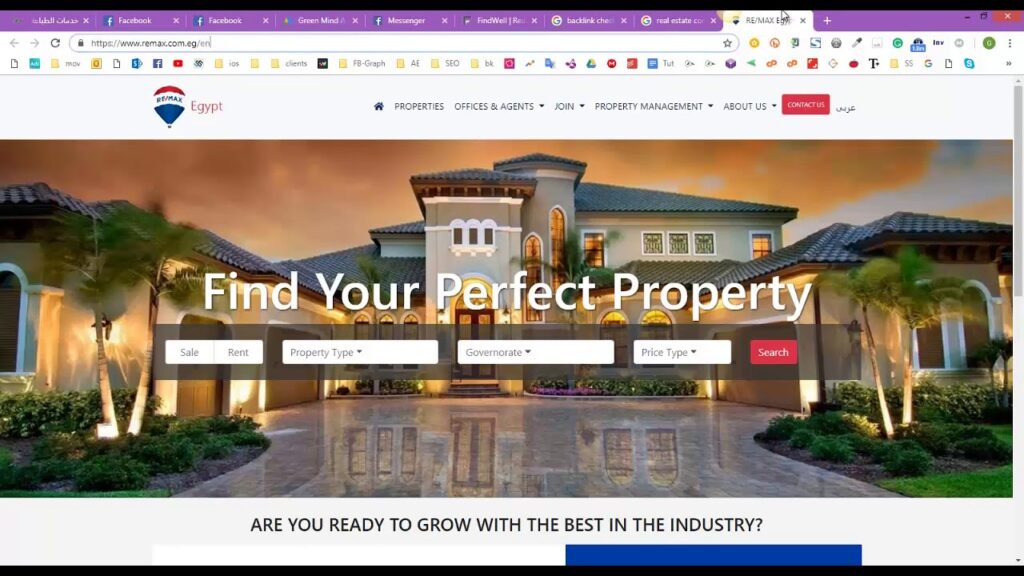 SEO   backlinks