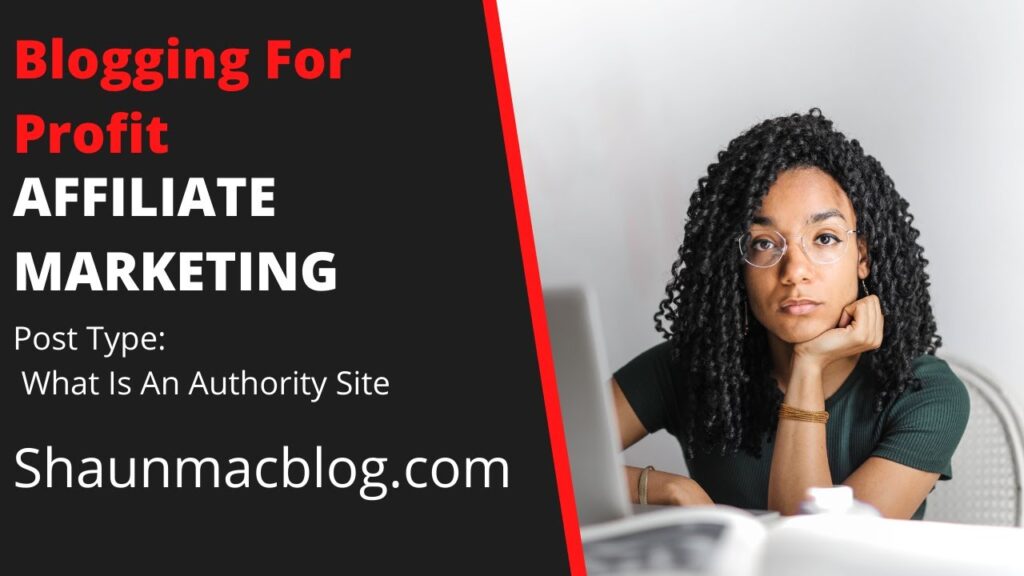 What Is An Authority Site Why I am Running this Case study