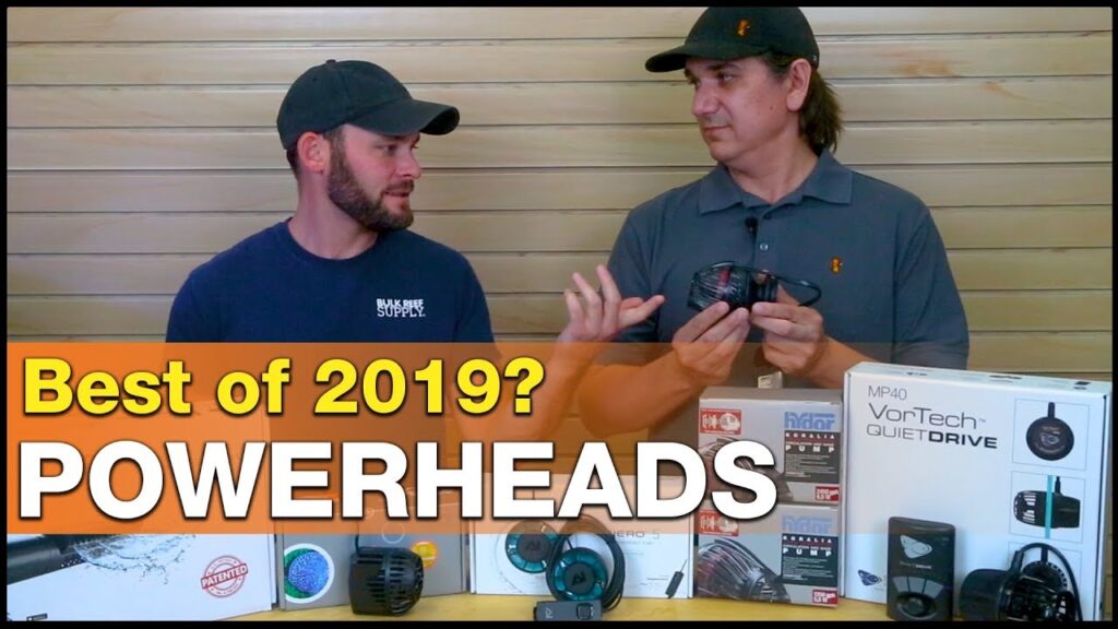 Which pumps are BEST for our tanks? It's our list of Best Powerheads of 2019!