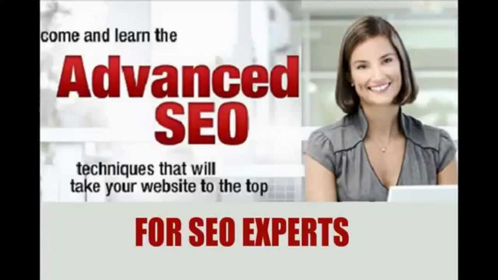 seo training in chandigarh | seo services in chandigarh india