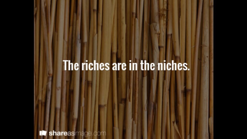 How to Earn Big Money with Niche Websites, with Spencer Haws